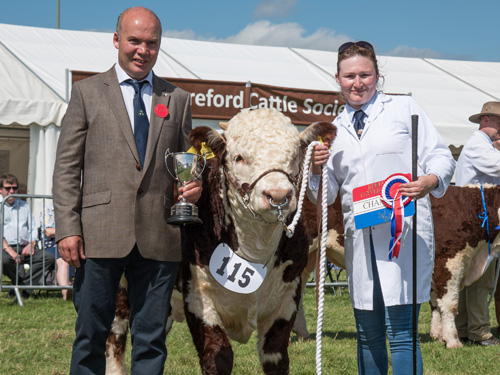 National Hereford Show 2016 judge, Michael Molloy, and Laura with Junior Male Champion, Pulham Northern Lights