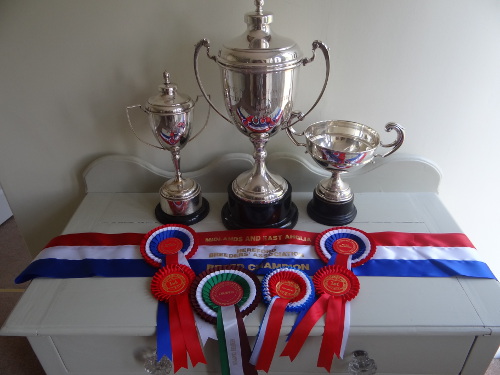 Prizes from Hadleigh Show 2014
