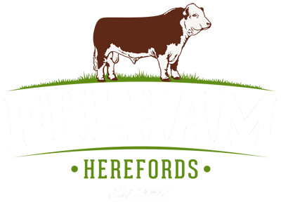 Pulham Herefords website logo