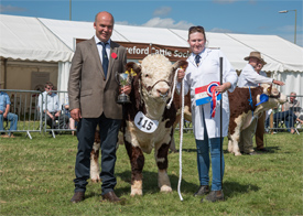 First ever Championship won at National Hereford Show, Tenbury